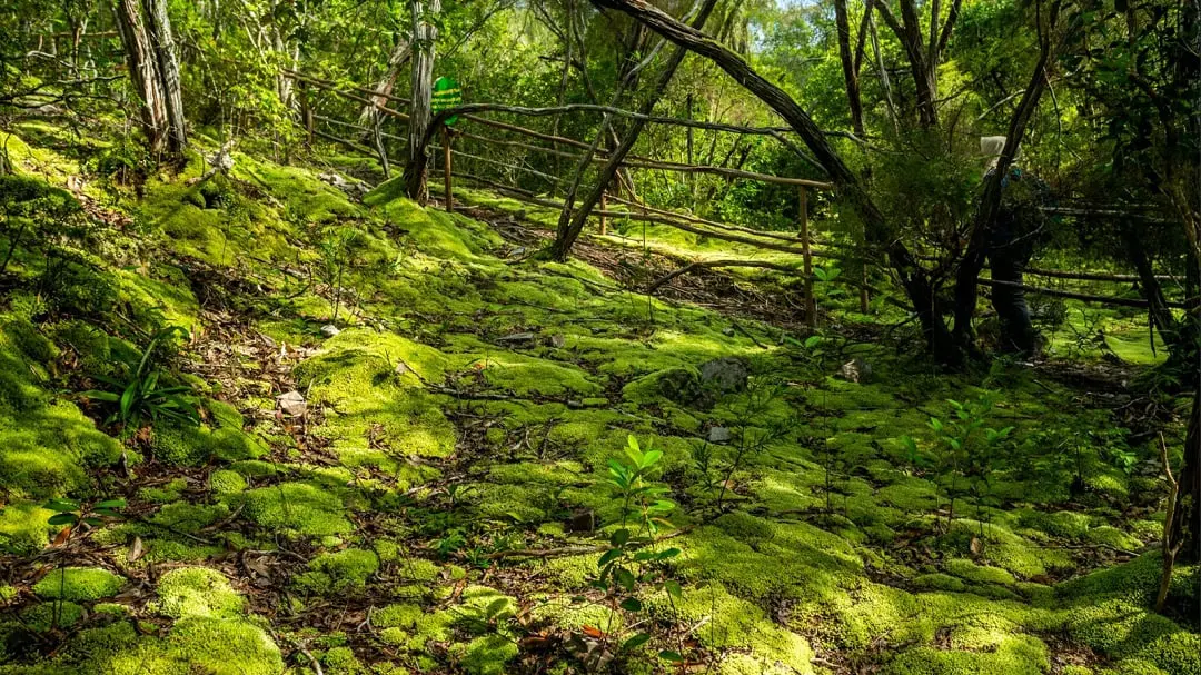 Gunung Lumut Geosite Belitung